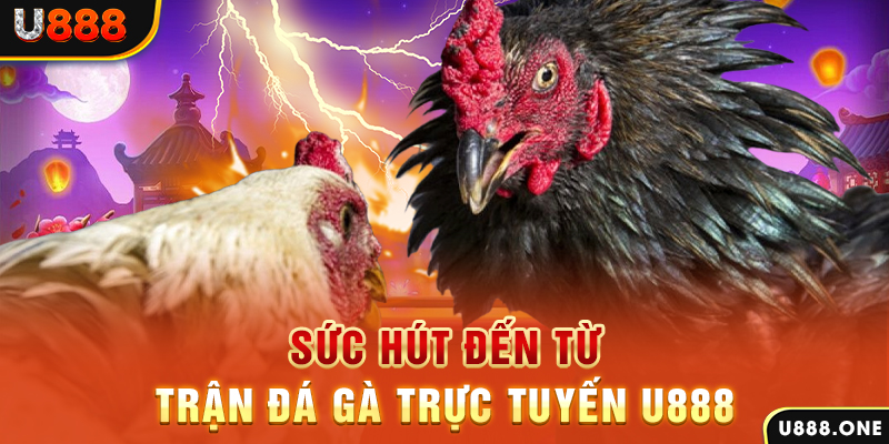 123win91 đá gà trực tiếp c1
