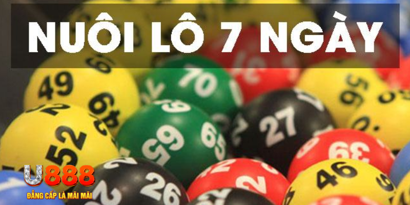 123win91 what are slot machines