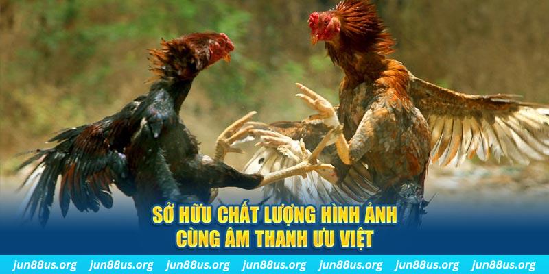 123win91 PP Điện Tử