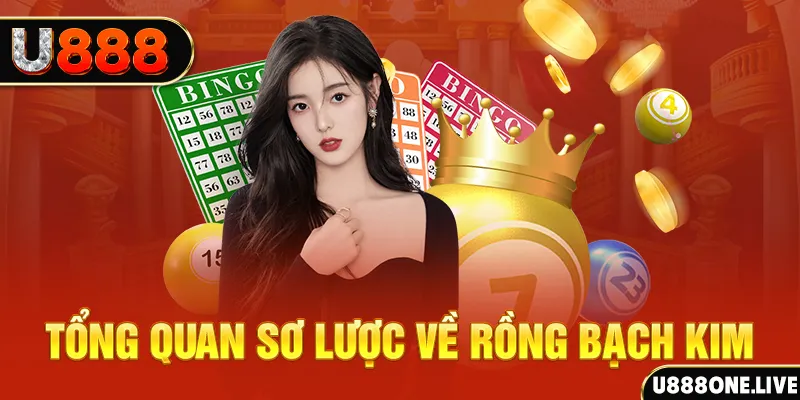 123win91 hũ 8 bit nổ như thế nào