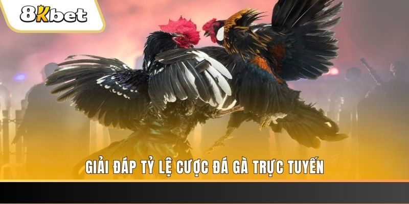 123win91 xổ số đài miền trung