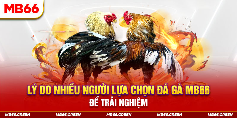 123win91 xổ số miền bắc thứ bảy hàng tuần