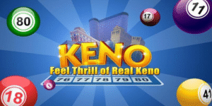 123win91 gà chọi c1 thomo
