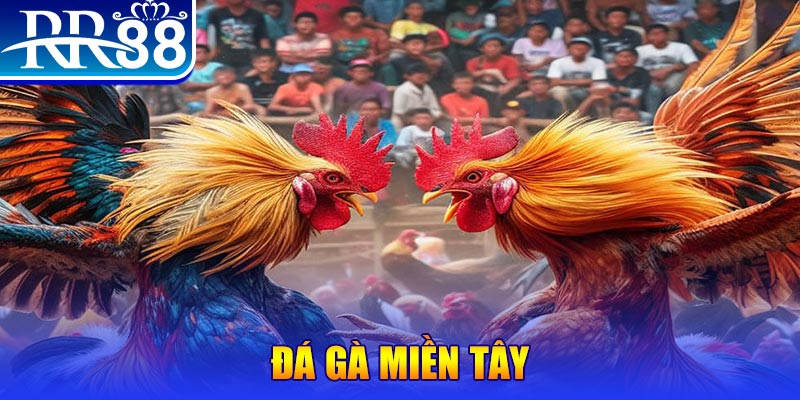 123win91 no hu doi thuong ai