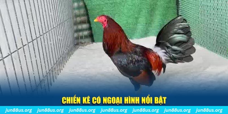 123win91 game nổ hũ là gì